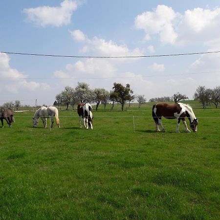 Gite La Besse, Claudon Esterno foto