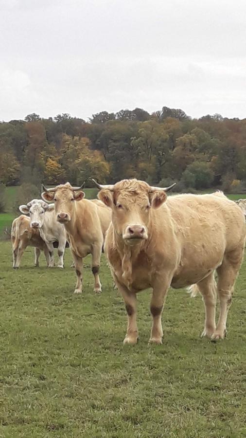 Gite La Besse, Claudon Esterno foto