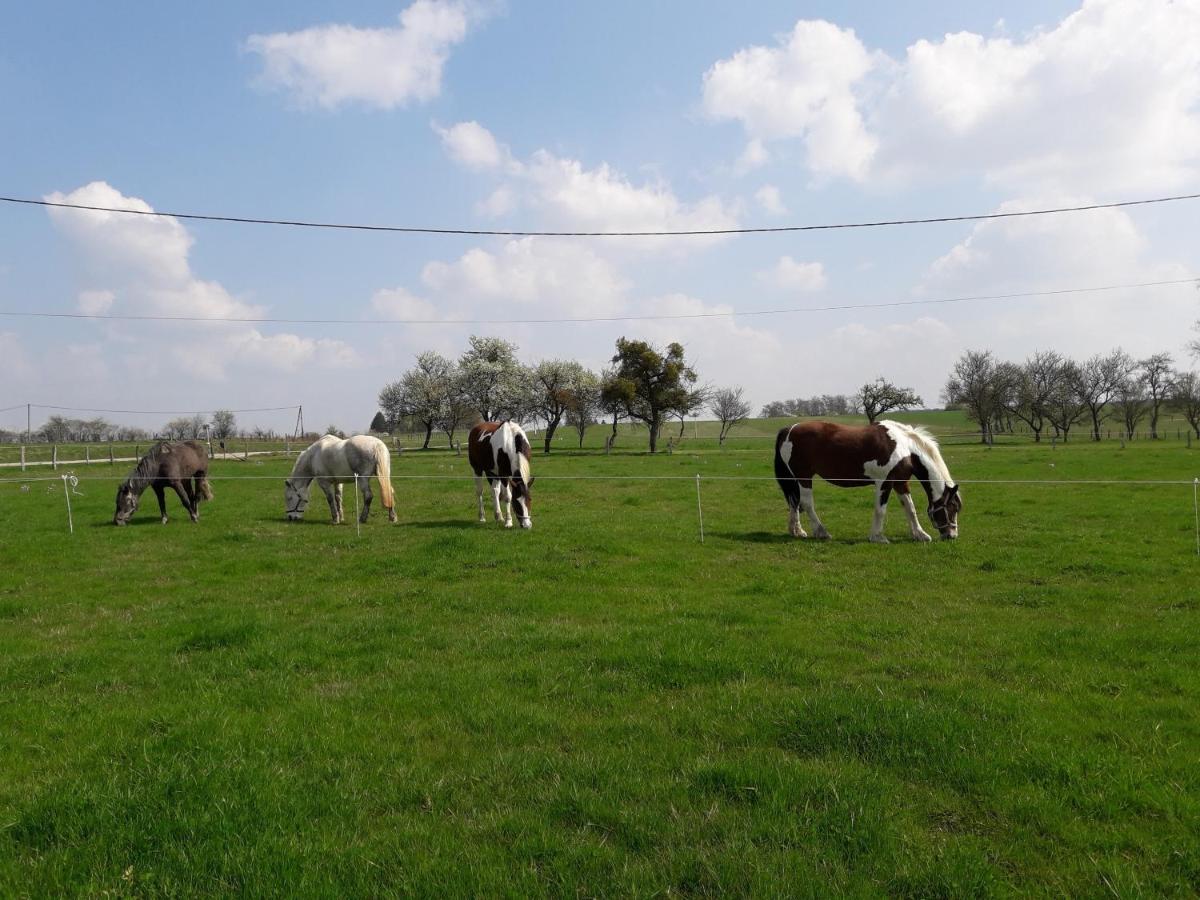 Gite La Besse, Claudon Esterno foto