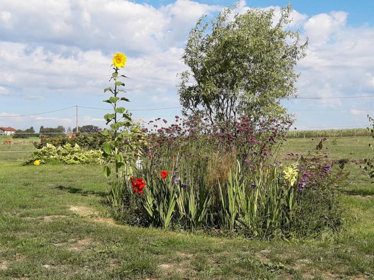 Gite La Besse, Claudon Esterno foto